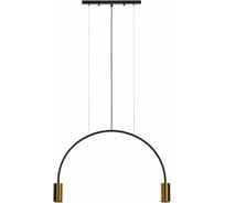 Подвесной светильник LOFT IT Volta 5043-2