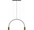 Подвесной светильник LOFT IT Volta 5043-2 1