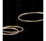 Подвесной светильник LOFT IT Ring 10017/3L 3