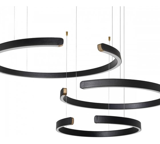 Подвесной светильник LOFT IT Ring 10025/3 Black