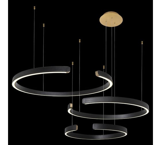 Подвесной светильник LOFT IT Ring 10025/3 Black