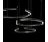 Подвесной светильник LOFT IT Ring 10025/3 Black 3