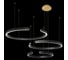 Подвесной светильник LOFT IT Ring 10025/3 Black 4