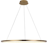 Подвесной светильник LOFT IT Ring 10014XL