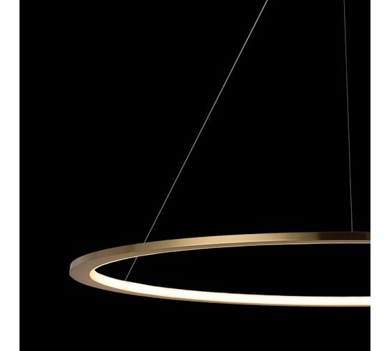 Подвесной светильник LOFT IT Ring 10014XL