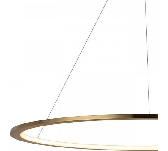 Подвесной светильник LOFT IT Ring 10014XL