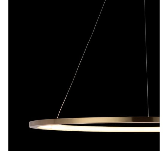 Подвесной светильник LOFT IT Ring 10014XL