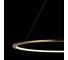Подвесной светильник LOFT IT Ring 10014XL 2