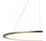 Подвесной светильник LOFT IT Ring 10014XL 3