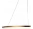 Подвесной светильник LOFT IT Ring 10014XL 5