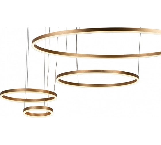 Подвесной светильник LOFT IT Ring 10017/4M