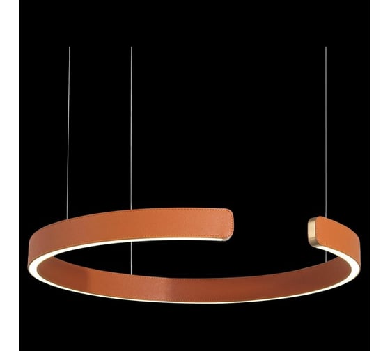 Подвесной светильник LOFT IT Ring 10025/400 Orange
