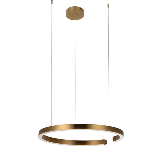 Подвесной светильник LOFT IT Ring 10013L