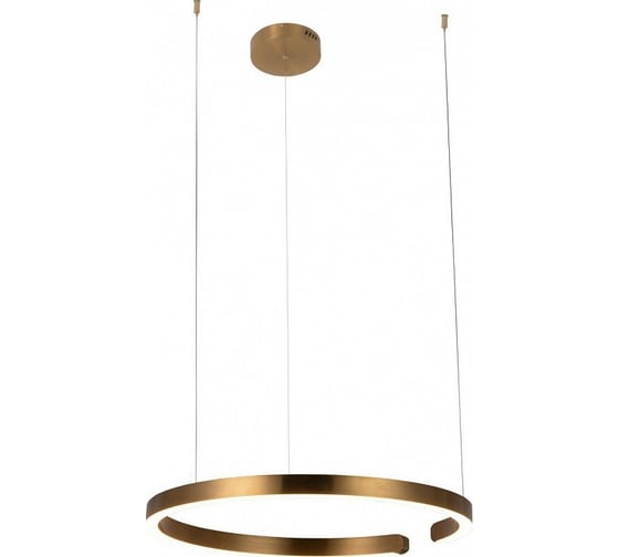 Подвесной светильник LOFT IT Ring 10013L