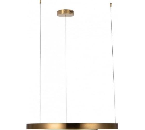 Подвесной светильник LOFT IT Ring 10013L