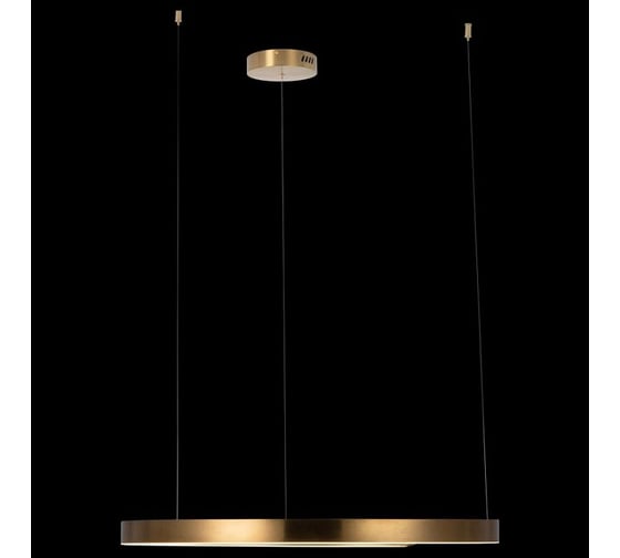 Подвесной светильник LOFT IT Ring 10013L