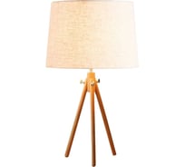 Настольная декоративная лампа LOFT IT Natural LOFT7112T