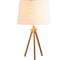 Настольная декоративная лампа LOFT IT Natural LOFT7112T 1