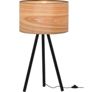 Настольная декоративная лампа LOFT IT Nordic 1700-TBK+SW