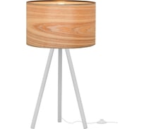 Настольная декоративная лампа LOFT IT Nordic 1700-TWH+SW