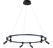 Подвесной светильник ARTE LAMP A2186SP-1BK