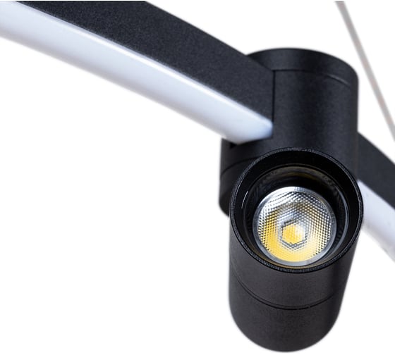 Подвесной светильник ARTE LAMP A2186SP-1BK