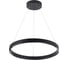 Подвесной светильник ARTE LAMP A2189LM-1BK 1