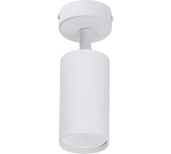 Накладной поворотный светильник truEnergy GU10 D55xH100мм IP20 белый/алюминий 21330