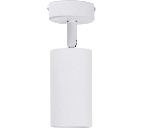 Накладной поворотный светильник truEnergy GU10 D55xH100мм IP20 белый/алюминий 21330