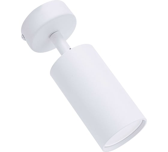 Накладной поворотный светильник truEnergy GU10 D55xH100мм IP20 белый/алюминий 21330