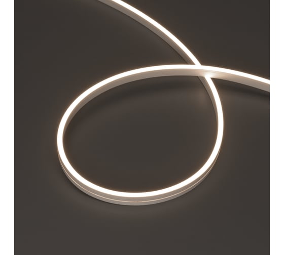Гибкий неон Arlight ARL-MOONLIGHT-1004-SIDE 24V Day 027943