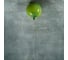 Накладной светильник LOFT IT Memory 5055C/L green 2