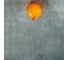 Накладной светильник LOFT IT Memory 5055C/S orange 2