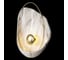 Накладной светильник LOFT IT Clam 10043 White 6