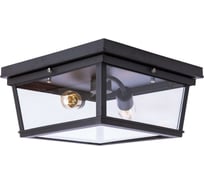 Накладной светильник LOFT IT Modern Filament LOFT3110-2C
