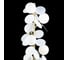Торшер LOFT IT Matisse 10008F white 3
