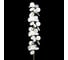Торшер LOFT IT Matisse 10008F white 7