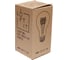 Лампа накаливания LOFT IT Edison Bulb E27 40Вт 2700K 7540-T 5