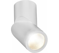 Светильник на штанге ST luce ST650 ST650.542.10