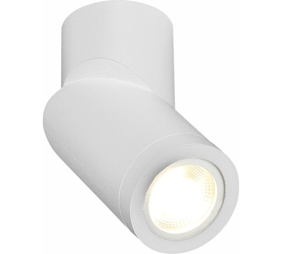 Светильник на штанге ST luce ST650 ST650.502.01