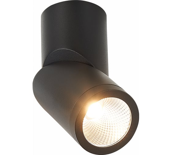 Светильник на штанге ST Luce ST650 ST650.432.10