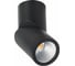Светильник на штанге ST luce ST650 ST650.442.10 5