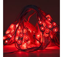 Светодиодный модуль MAKSILED 0.96вт, 24в, ip67, smd2835 2led, 40лм, красный, 40 шт./упаковка ML-M2SM-L-2835-R-24V
