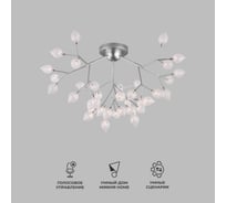 Потолочный светильник Bogate's 548 прозрачный a043940