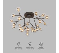 Потолочный светильник Bogate's 544 дымчатый 00000086052