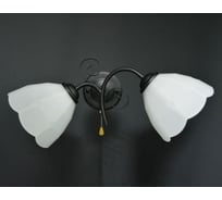 Настенный светильник Мелодия Света N2301-2W BK 000019338