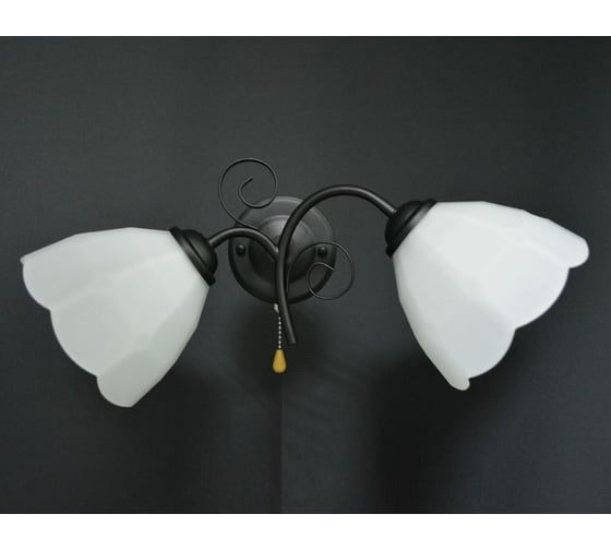 Настенный светильник Мелодия Света N2301-2W BK 000019338