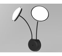 Настенный светильник Мелодия Света W4-M2-2W BK 000020415