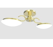 Потолочный светильник Мелодия Света 010-2-М1 GD 000020357