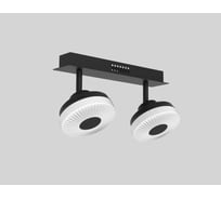 Потолочный светильник Мелодия Света 054-L10-2 BK 000021545